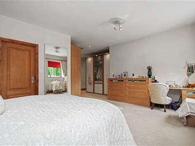 Picture 20